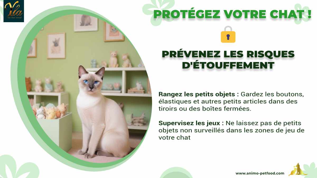 Prévention des risques d'étouffement pour les chats : rangement des petits objets et supervision des jeux